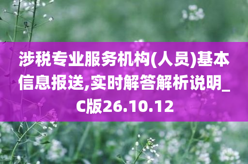 涉税专业服务机构(人员)基本信息报送,实时解答解析说明_C版26.10.12