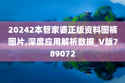 20242本管家婆正版资料图裤图片,深度应用解析数据_V版789072