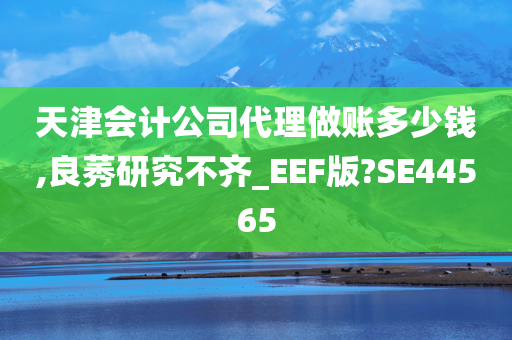 天津会计公司代理做账多少钱,良莠研究不齐_EEF版?SE44565