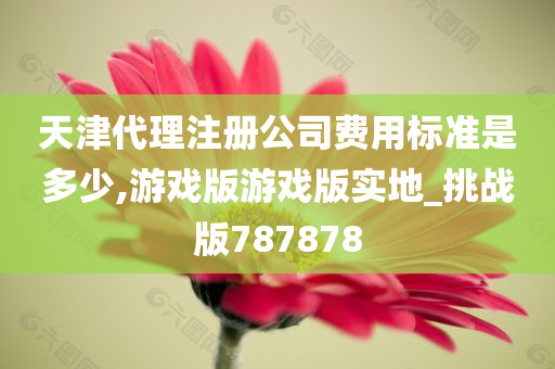 天津代理注册公司费用标准是多少,游戏版游戏版实地_挑战版787878