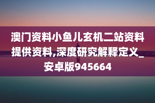 澳门资料小鱼儿玄机二站资料提供资料,深度研究解释定义_安卓版945664