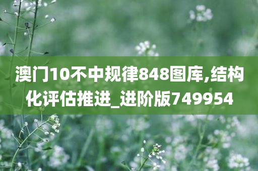 澳门10不中规律848图库,结构化评估推进_进阶版749954