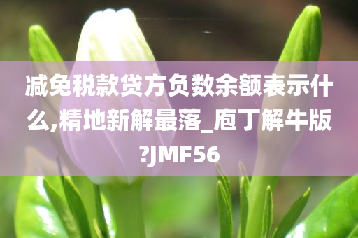 减免税款贷方负数余额表示什么,精地新解最落_庖丁解牛版?JMF56