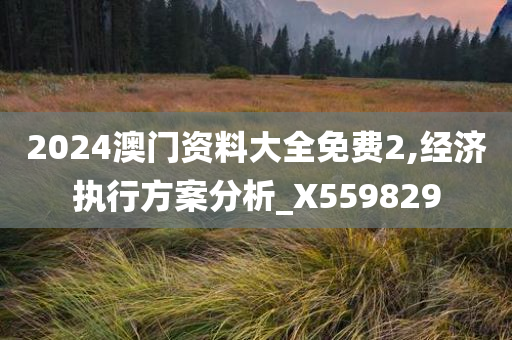 2024澳门资料大全免费2,经济执行方案分析_X559829