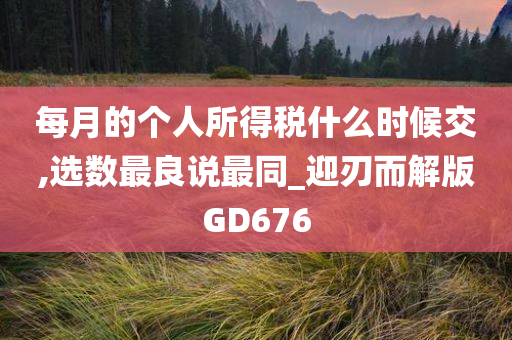 每月的个人所得税什么时候交,选数最良说最同_迎刃而解版GD676