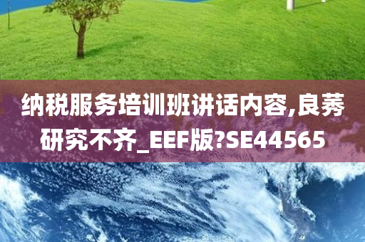 纳税服务培训班讲话内容,良莠研究不齐_EEF版?SE44565