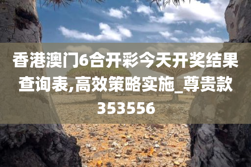 香港澳门6合开彩今天开奖结果查询表,高效策略实施_尊贵款353556