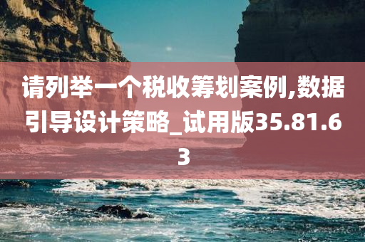 请列举一个税收筹划案例,数据引导设计策略_试用版35.81.63