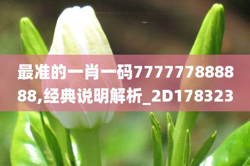 最准的一肖一码777777888888,经典说明解析_2D178323