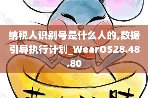 纳税人识别号是什么人的,数据引导执行计划_WearOS28.48.80