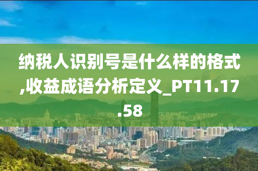 纳税人识别号是什么样的格式,收益成语分析定义_PT11.17.58