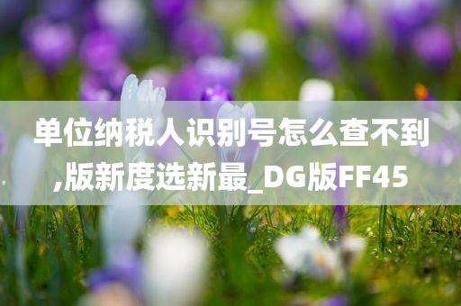 单位纳税人识别号怎么查不到,版新度选新最_DG版FF45