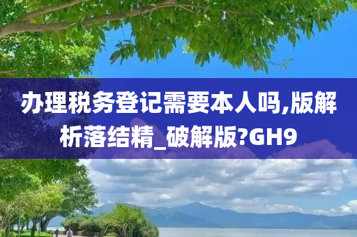 办理税务登记需要本人吗,版解析落结精_破解版?GH9