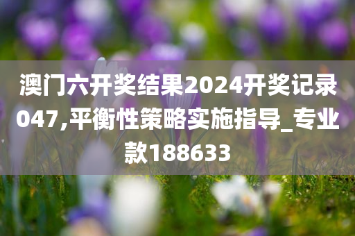 澳门六开奖结果2024开奖记录047,平衡性策略实施指导_专业款188633