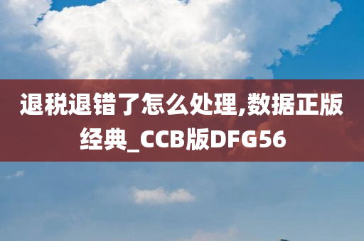 退税退错了怎么处理,数据正版经典_CCB版DFG56