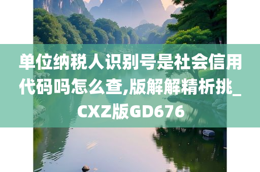 单位纳税人识别号是社会信用代码吗怎么查,版解解精析挑_CXZ版GD676