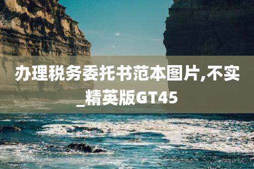 办理税务委托书范本图片,不实_精英版GT45