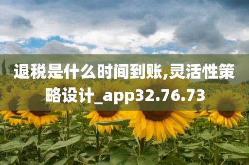 退税是什么时间到账,灵活性策略设计_app32.76.73