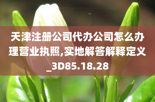 天津注册公司代办公司怎么办理营业执照,实地解答解释定义_3D85.18.28