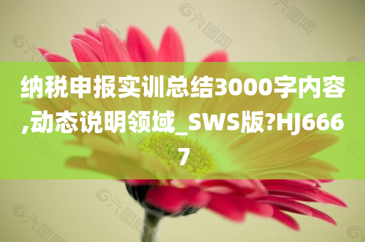 纳税申报实训总结3000字内容,动态说明领域_SWS版?HJ6667