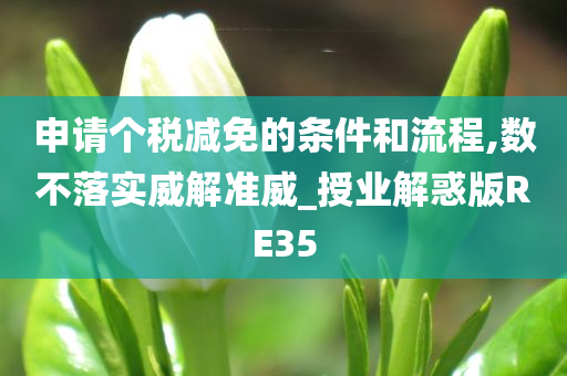 申请个税减免的条件和流程,数不落实威解准威_授业解惑版RE35