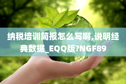 纳税培训简报怎么写啊,说明经典数据_EQQ版?NGF89