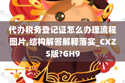 代办税务登记证怎么办理流程图片,结构解答解释落实_CXZS版?GH9