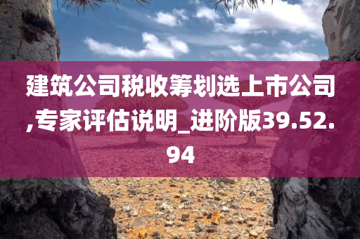 建筑公司税收筹划选上市公司,专家评估说明_进阶版39.52.94