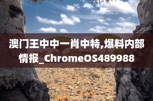 澳门王中中一肖中特,爆料内部情报_ChromeOS489988