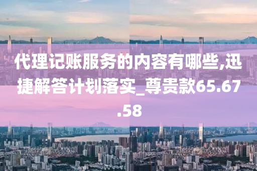 代理记账服务的内容有哪些,迅捷解答计划落实_尊贵款65.67.58