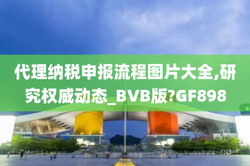 代理纳税申报流程图片大全,研究权威动态_BVB版?GF898