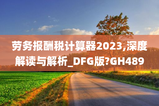 劳务报酬税计算器2023,深度解读与解析_DFG版?GH489