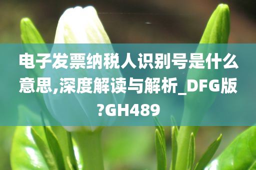 电子发票纳税人识别号是什么意思,深度解读与解析_DFG版?GH489