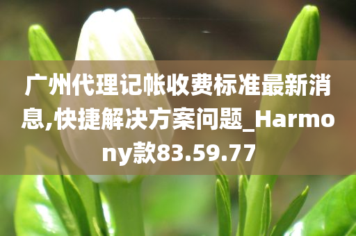 广州代理记帐收费标准最新消息,快捷解决方案问题_Harmony款83.59.77