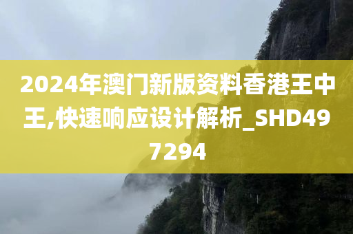 2024年澳门新版资料香港王中王,快速响应设计解析_SHD497294