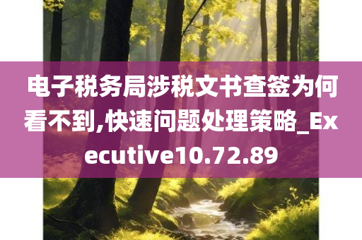 电子税务局涉税文书查签为何看不到,快速问题处理策略_Executive10.72.89