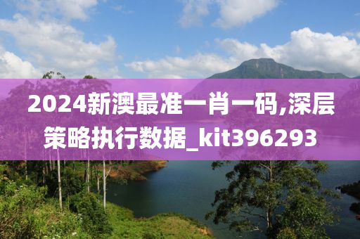 2024新澳最准一肖一码,深层策略执行数据_kit396293