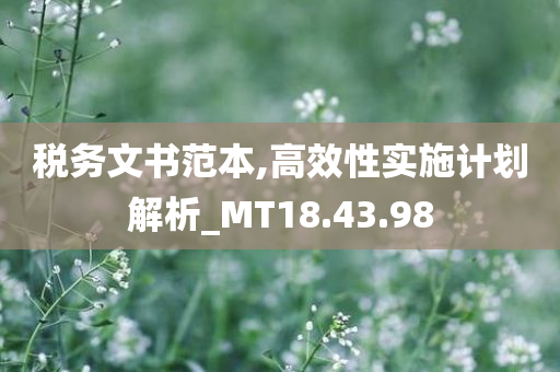 税务文书范本,高效性实施计划解析_MT18.43.98