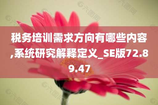 税务培训需求方向有哪些内容,系统研究解释定义_SE版72.89.47