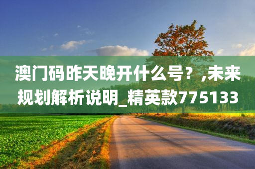 澳门码昨天晚开什么号？,未来规划解析说明_精英款775133