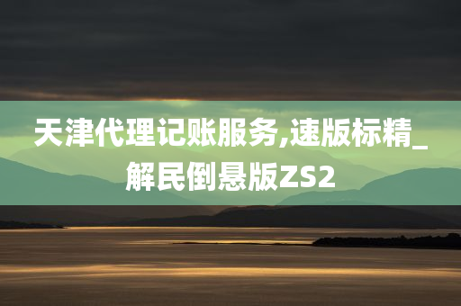 天津代理记账服务,速版标精_解民倒悬版ZS2