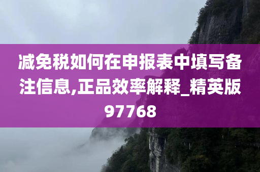 减免税如何在申报表中填写备注信息,正品效率解释_精英版97768