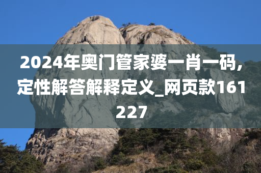 2024年奥门管家婆一肖一码,定性解答解释定义_网页款161227