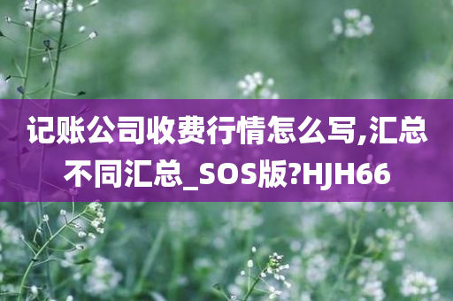 记账公司收费行情怎么写,汇总不同汇总_SOS版?HJH66