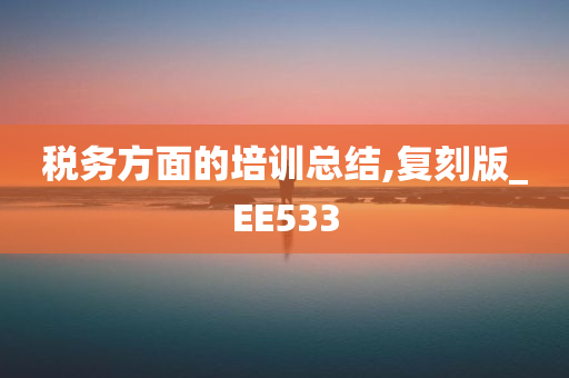 税务方面的培训总结,复刻版_EE533