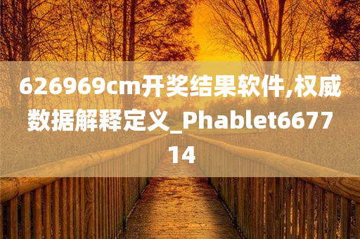 626969cm开奖结果软件,权威数据解释定义_Phablet667714