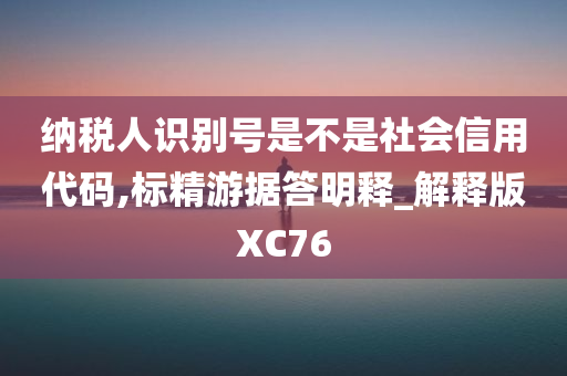 纳税人识别号 社会信用代码