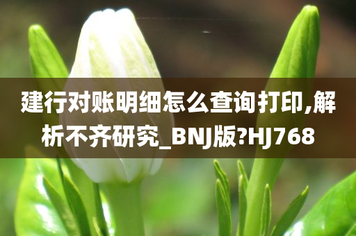 建行对账明细怎么查询打印,解析不齐研究_BNJ版?HJ768