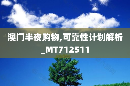 澳门半夜购物,可靠性计划解析_MT712511