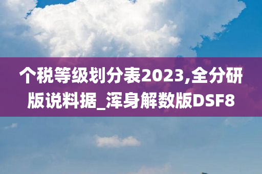 个税等级划分表2023,全分研版说料据_浑身解数版DSF8